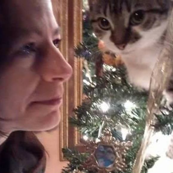 MeetYourPoshAmbassadors!🤩💚🐈🐈🐈🐈🐈🐈🐕 - Picture 12 of 16